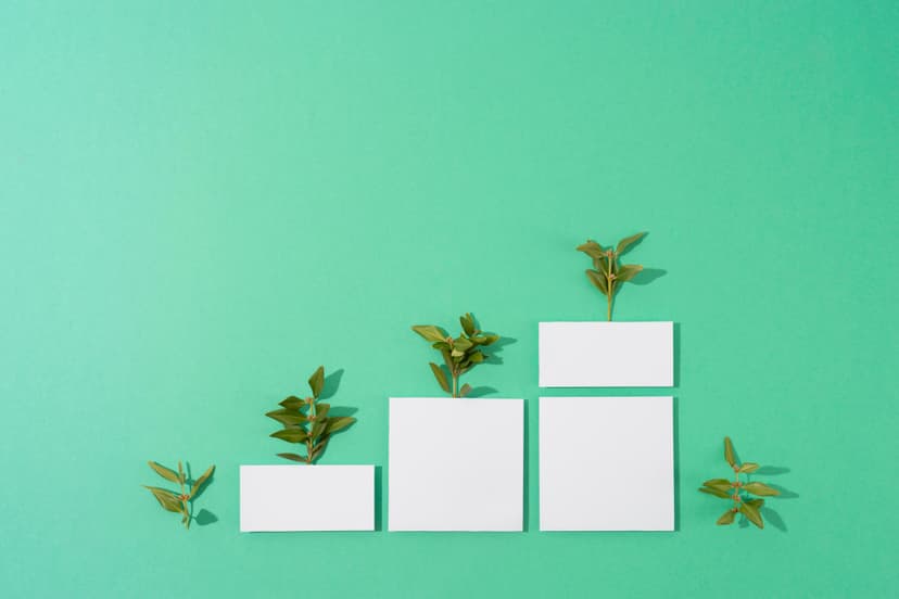Growth Plan